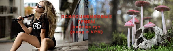 стафф Арсеньев