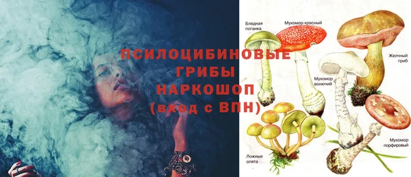 крисы Аркадак
